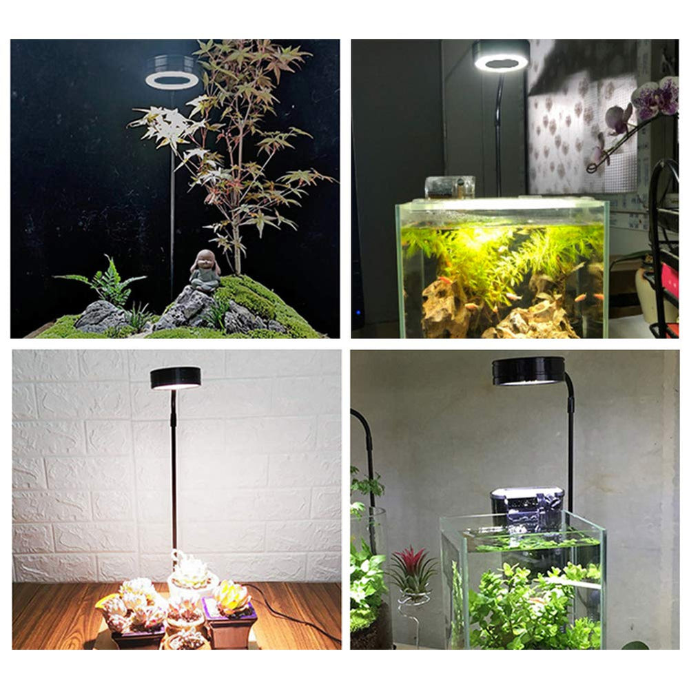 QWLWBU nano-tank light USB-powered for compact setups.