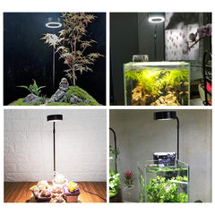 QWLWBU nano-tank light USB-powered for compact setups.