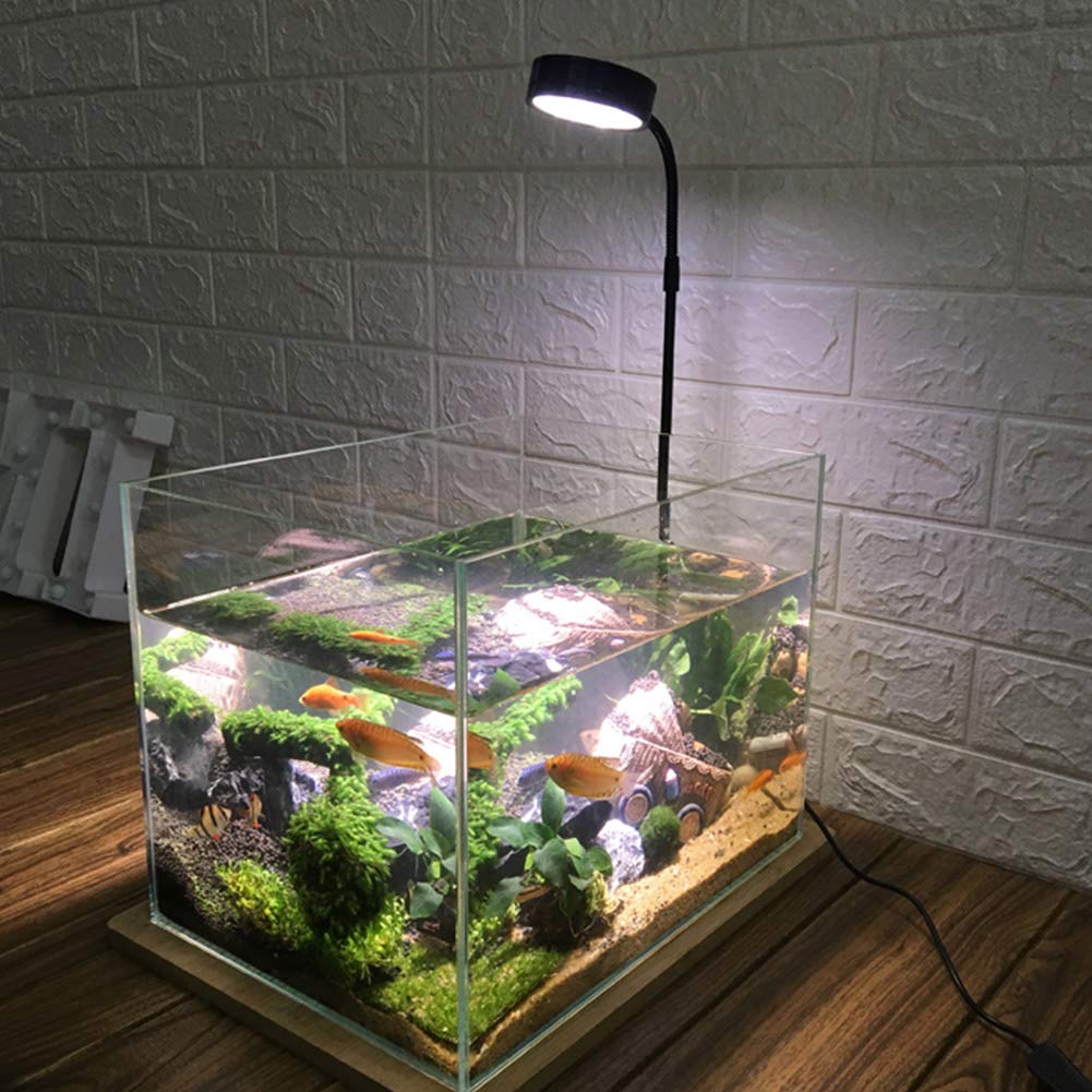QWLWBU plant grow light supports healthier growth and color.