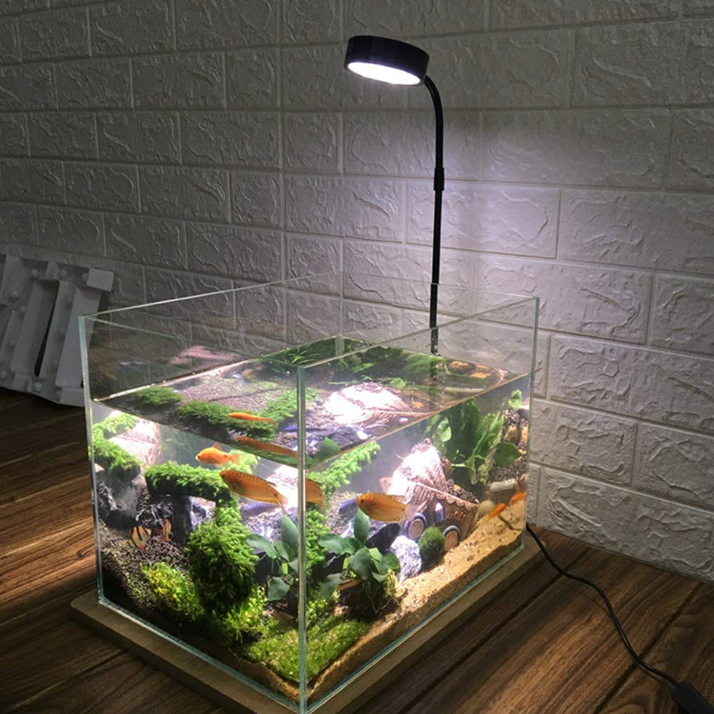 QWLWBU plant grow light supports healthier growth and color.