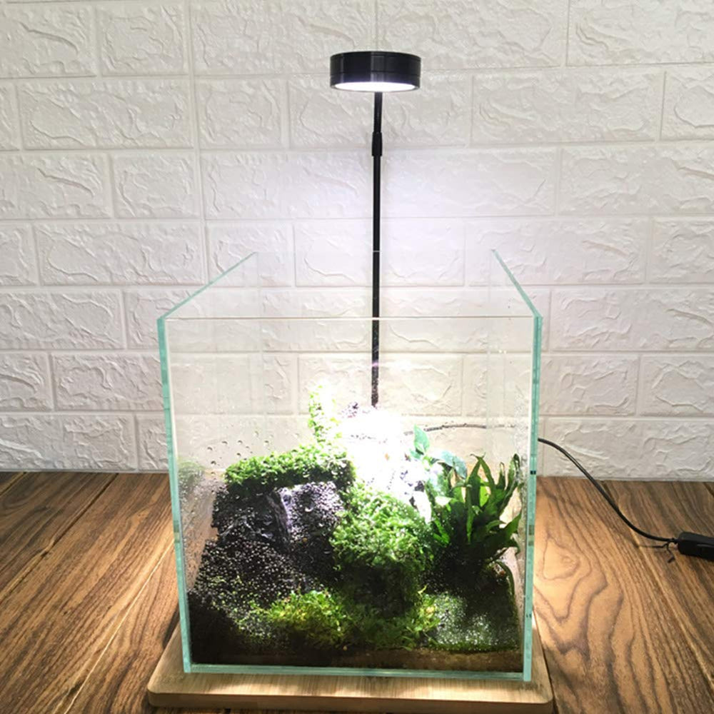 QWLWBU succulent grow light ideal for small pots.