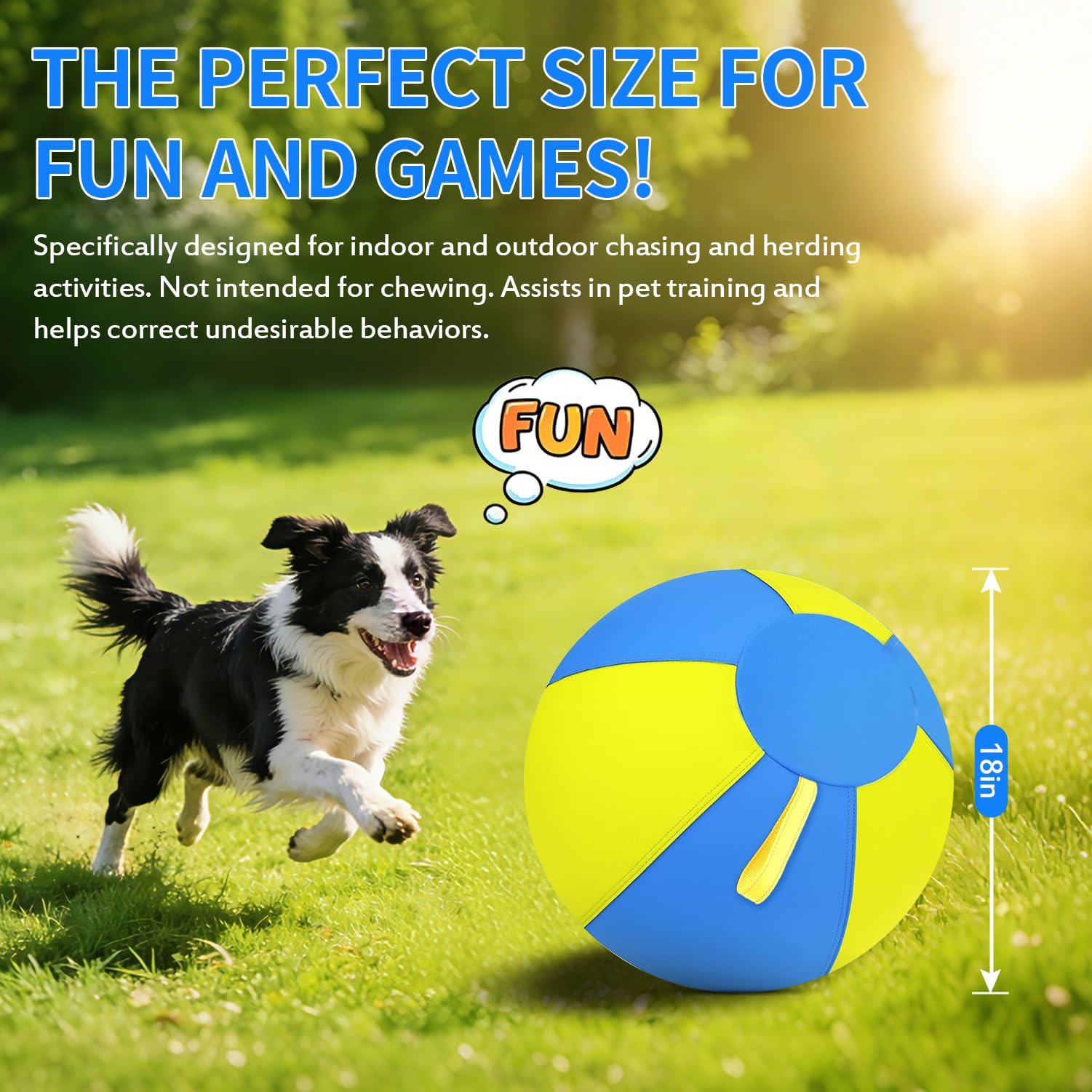 QWV backyard play session with dogs demonstrates durability