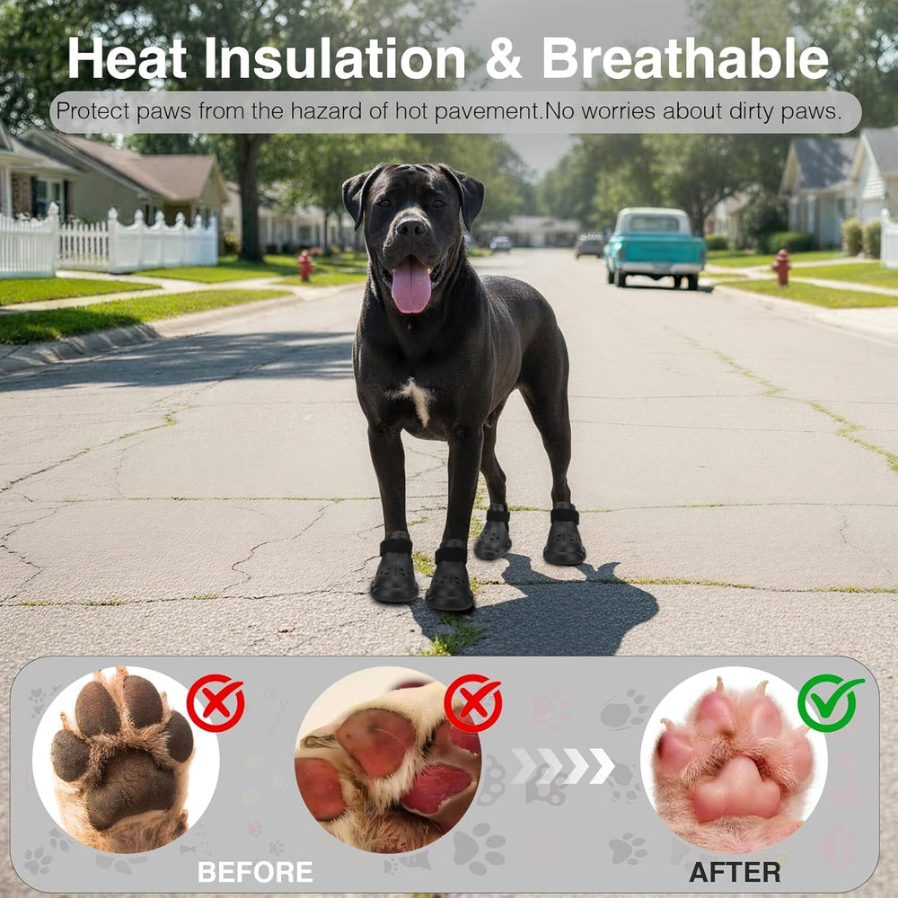 QXAPA multiple sizes ensure a snug, safe fit for every breed.