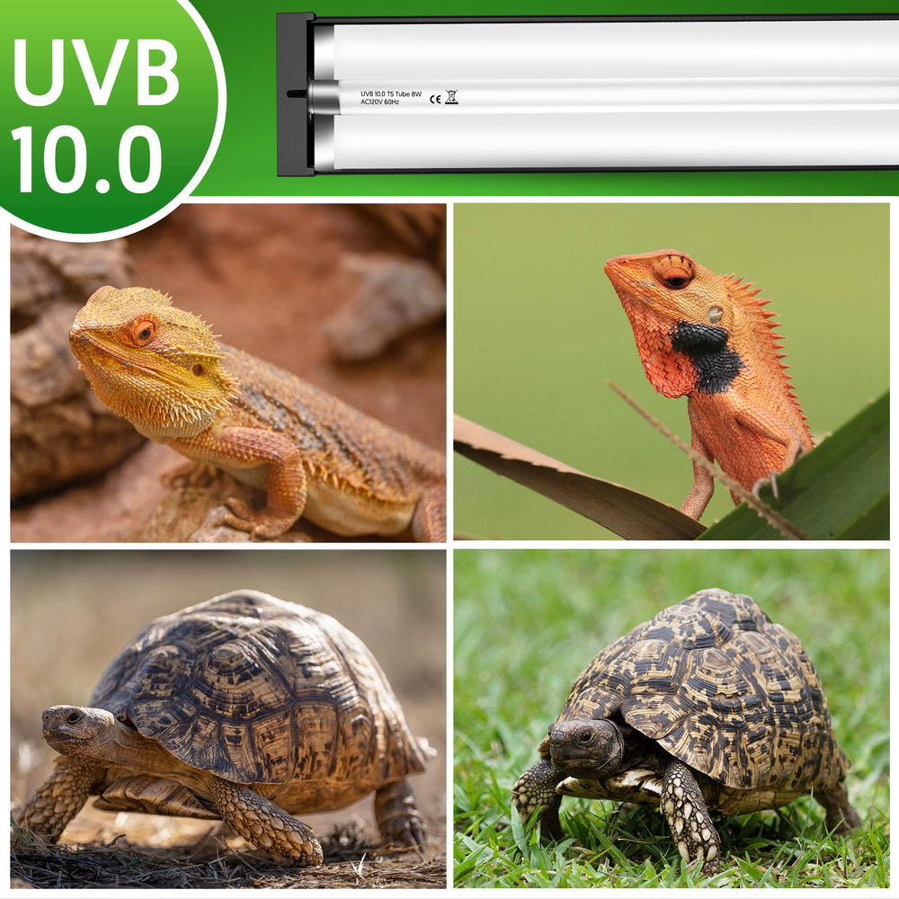 QZQ reptile habitat with desert-tropical UVB kit suitable for multiple species