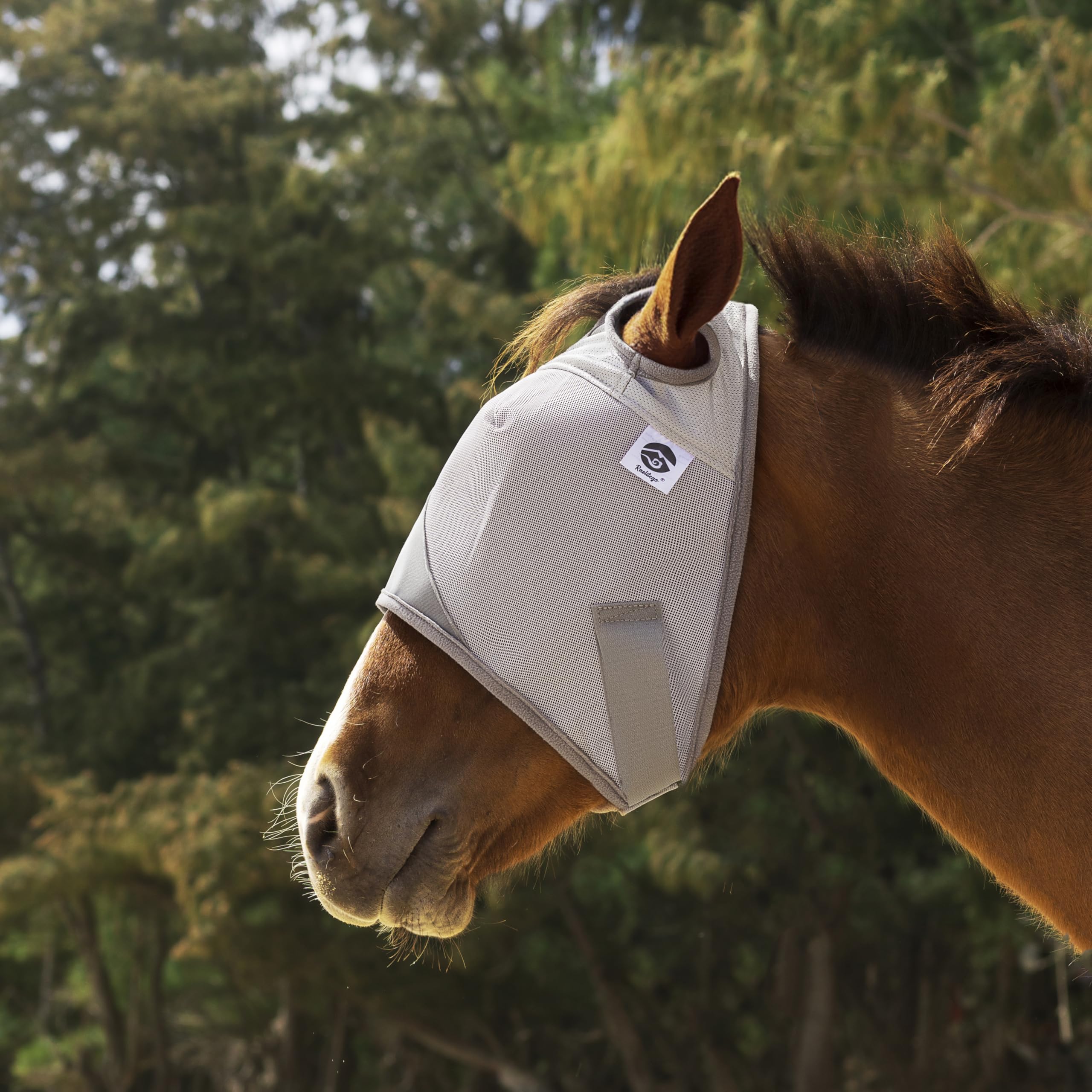 Raalitego machine-washable mask with soft edges helps prevent mane tangling.