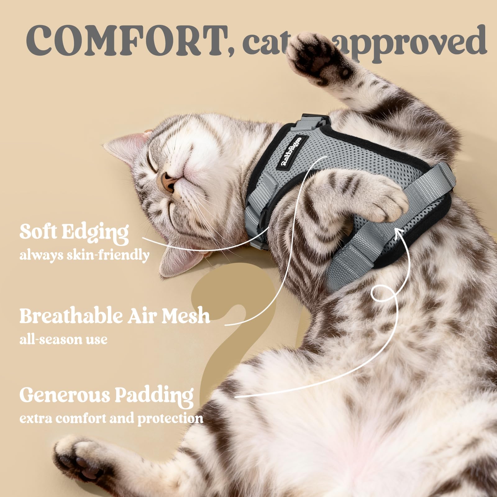 4.9ft leash included for flexible exploration with Rabbitgoo harness.