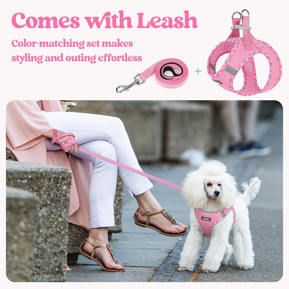 Rabbitgoo 5.12-foot leash with palm-friendly handle reduces tangling during strolls.