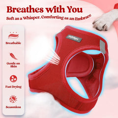 Rabbitgoo 5.12 ft leash provides flexible control during strolls.