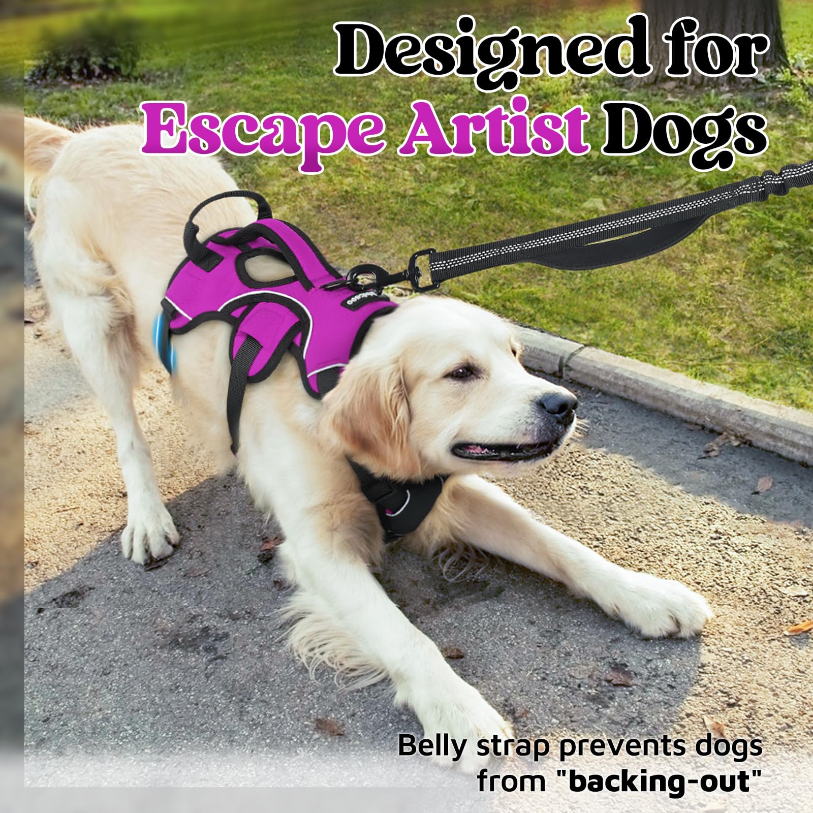 Rabbitgoo 5-adjustable-straps harness ensures snug fit for growing large dogs.
