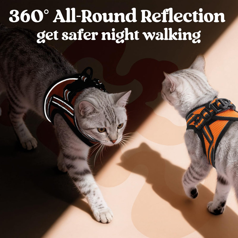 Rabbitgoo 59-inch-leash shows sturdy attachment for flexible walking range.