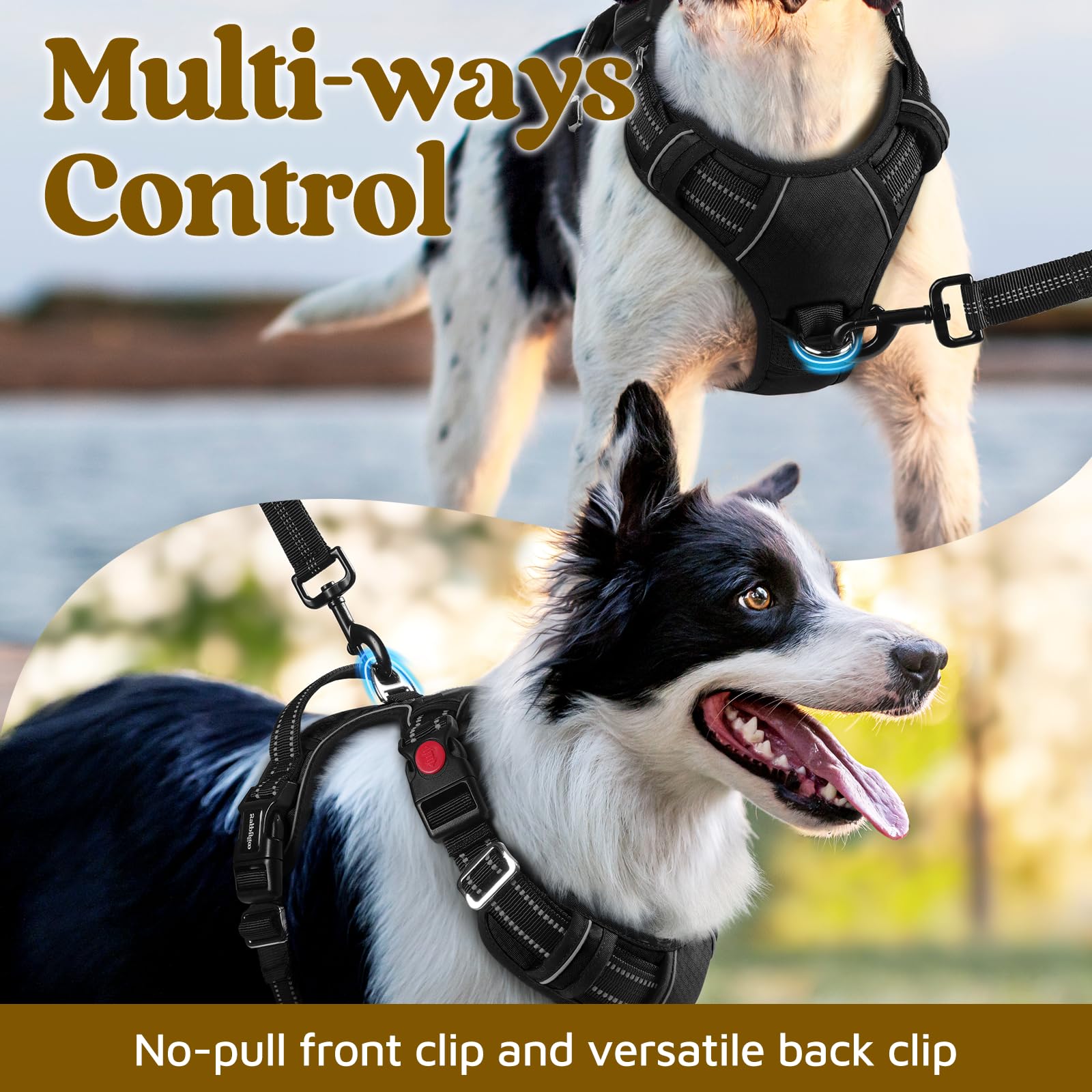 Rabbitgoo adjustable harness with four sliders for a tailored fit