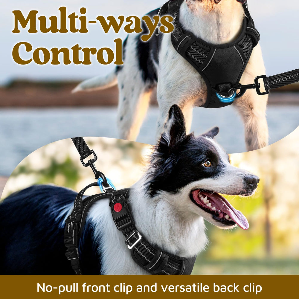 Rabbitgoo adjustable harness with four sliders for a tailored fit
