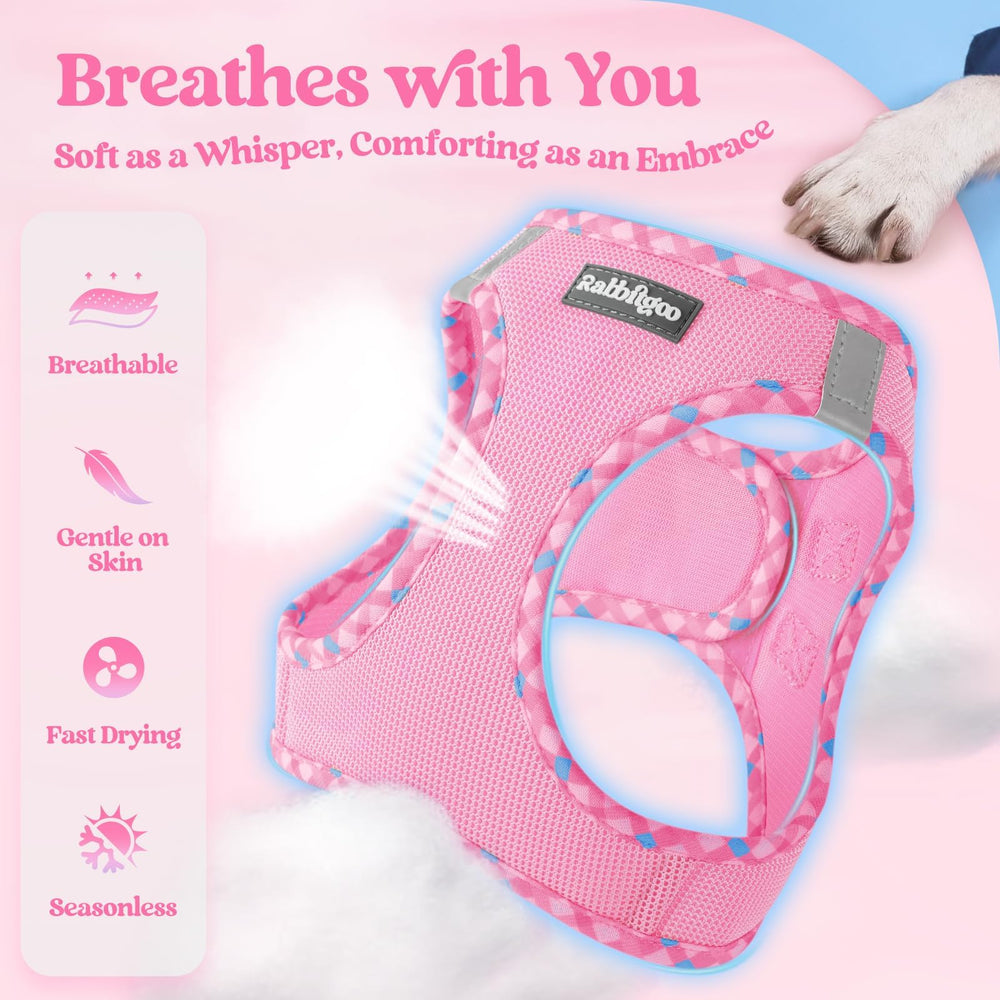 Rabbitgoo adjustable-fit harness with secure straps for a snug hold.