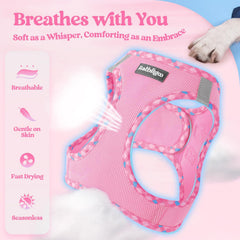 Rabbitgoo adjustable-fit harness with secure straps for a snug hold.