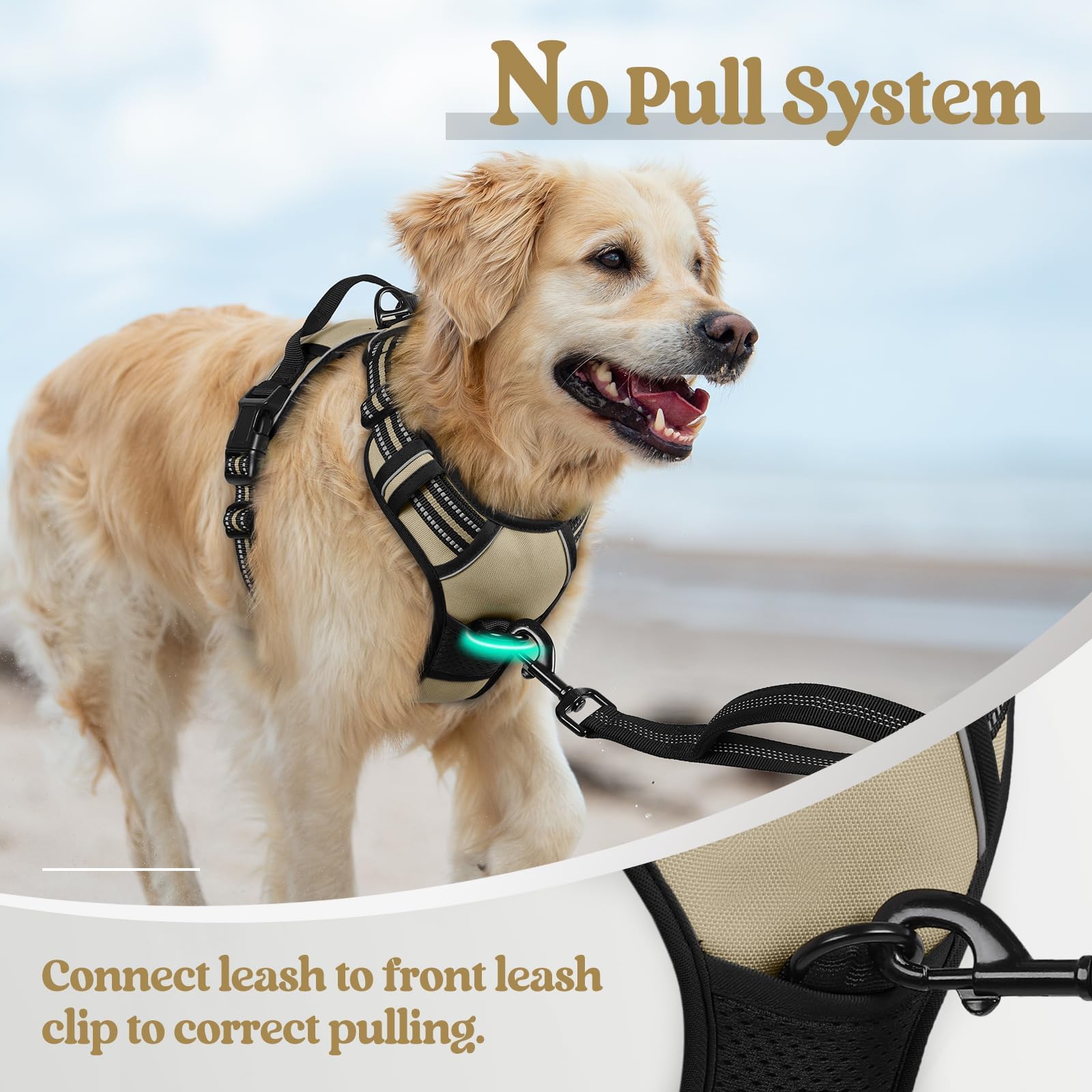 Rabbitgoo adjustable four-strap fit for a secure size