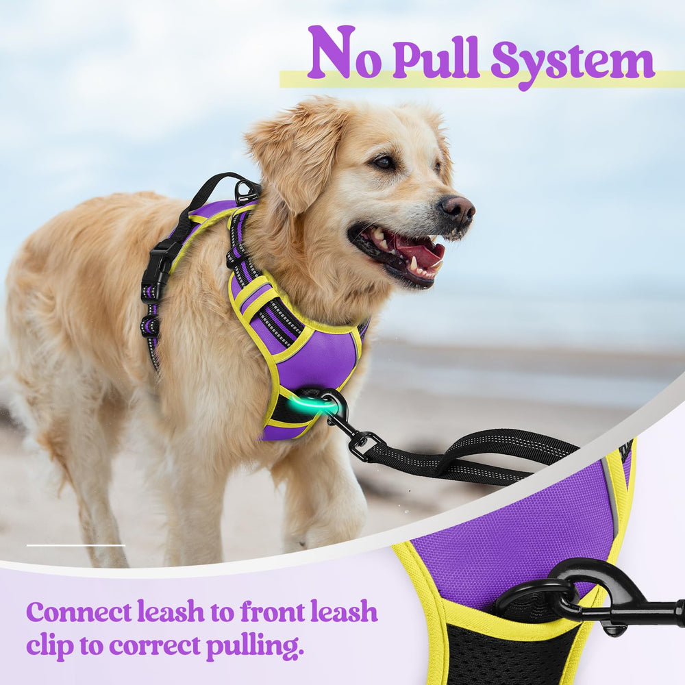 Rabbitgoo adjustable four-strap fit accommodates growth and secure wear.