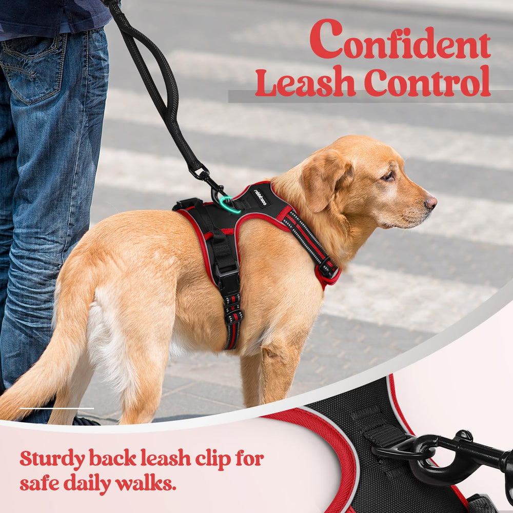 Rabbitgoo fully adjustable four-straps harness for secure, growth-friendly fit.