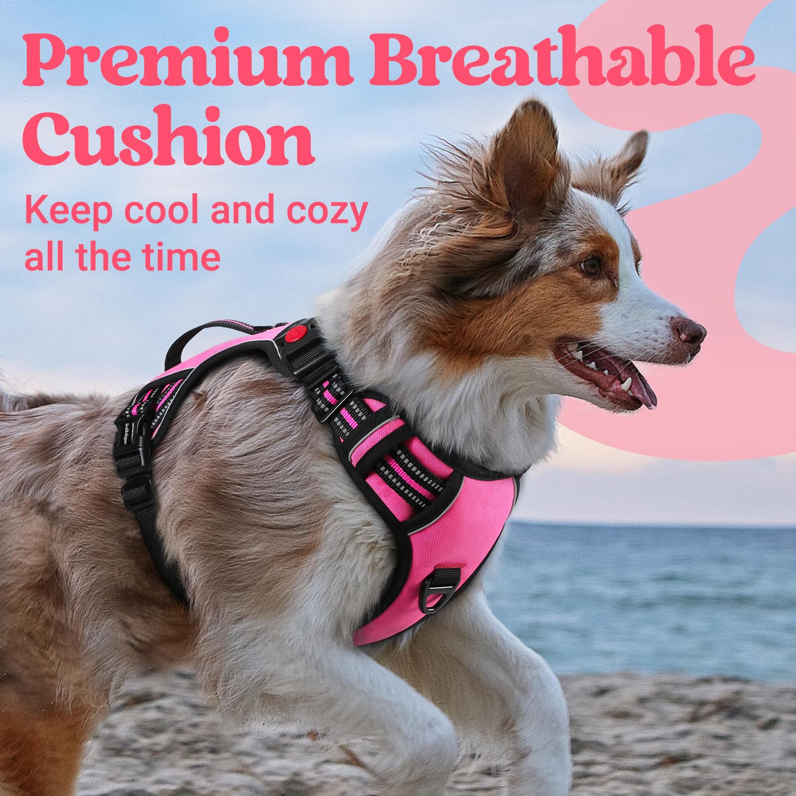 Rabbitgoo fully adjustable neck and chest with four points for a snug fit.