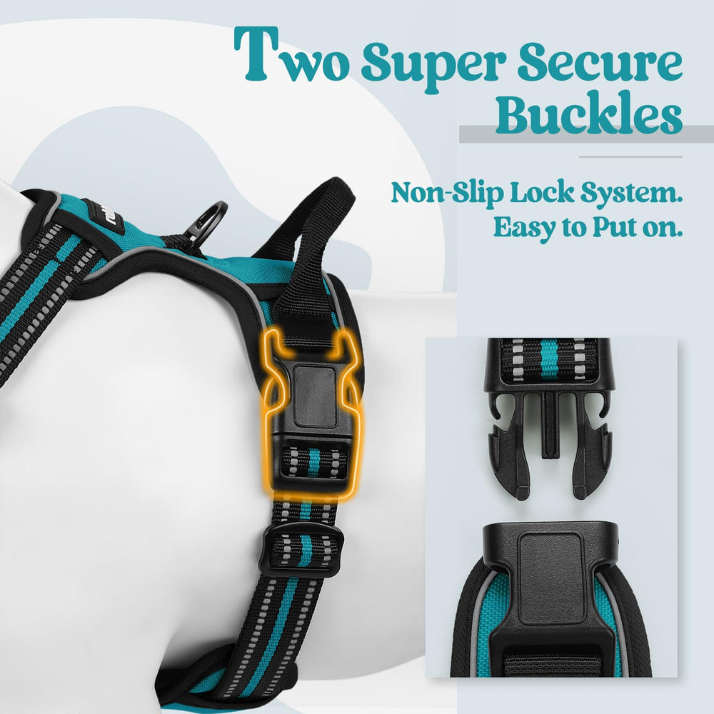 Rabbitgoo adjustable padded vest in teal for comfort