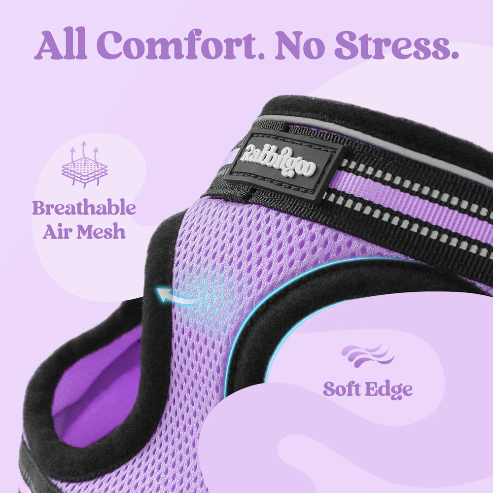 Rabbitgoo four adjustable straps tailor to growing kittens