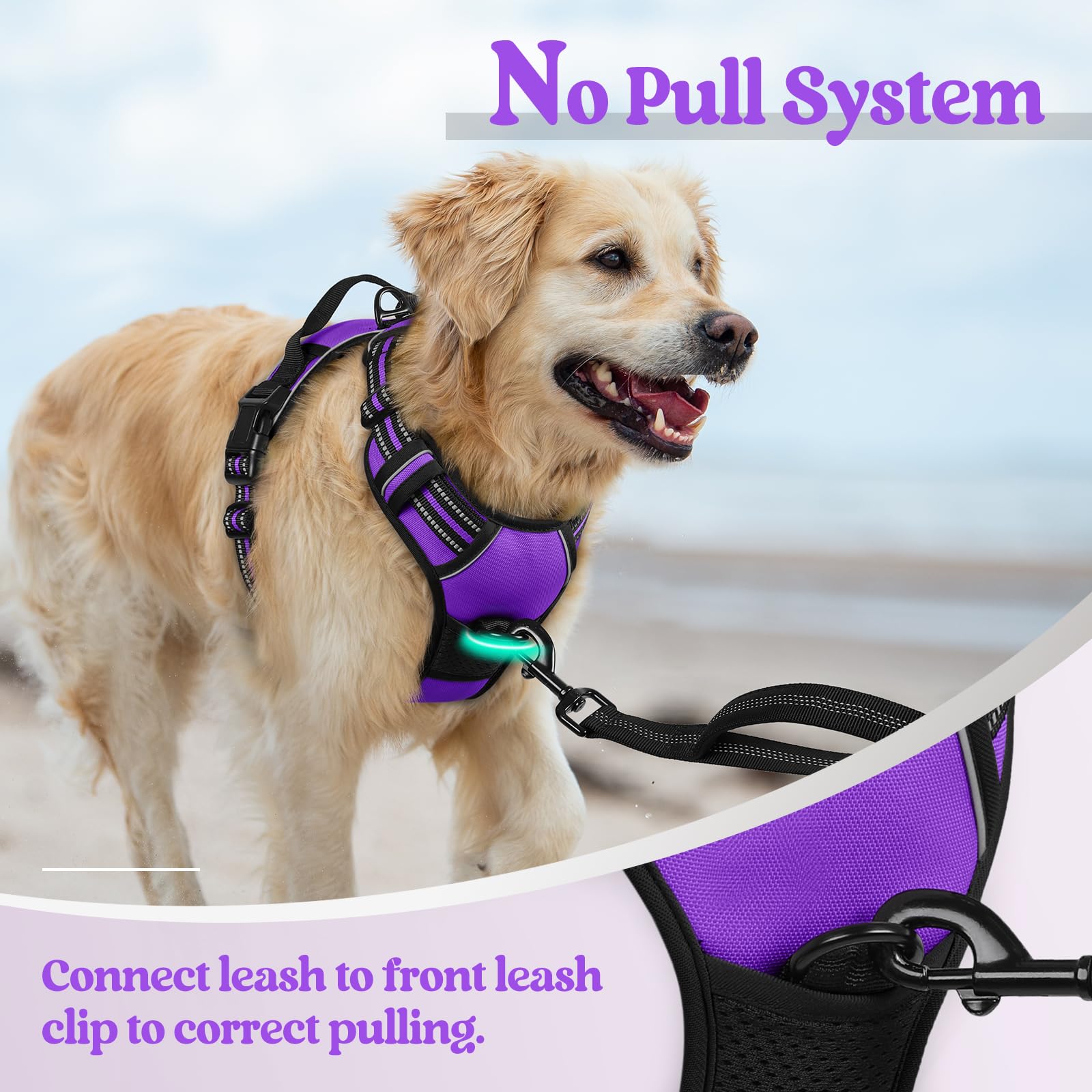 Rabbitgoo adjustable strap system ensures snug fit for growing dogs