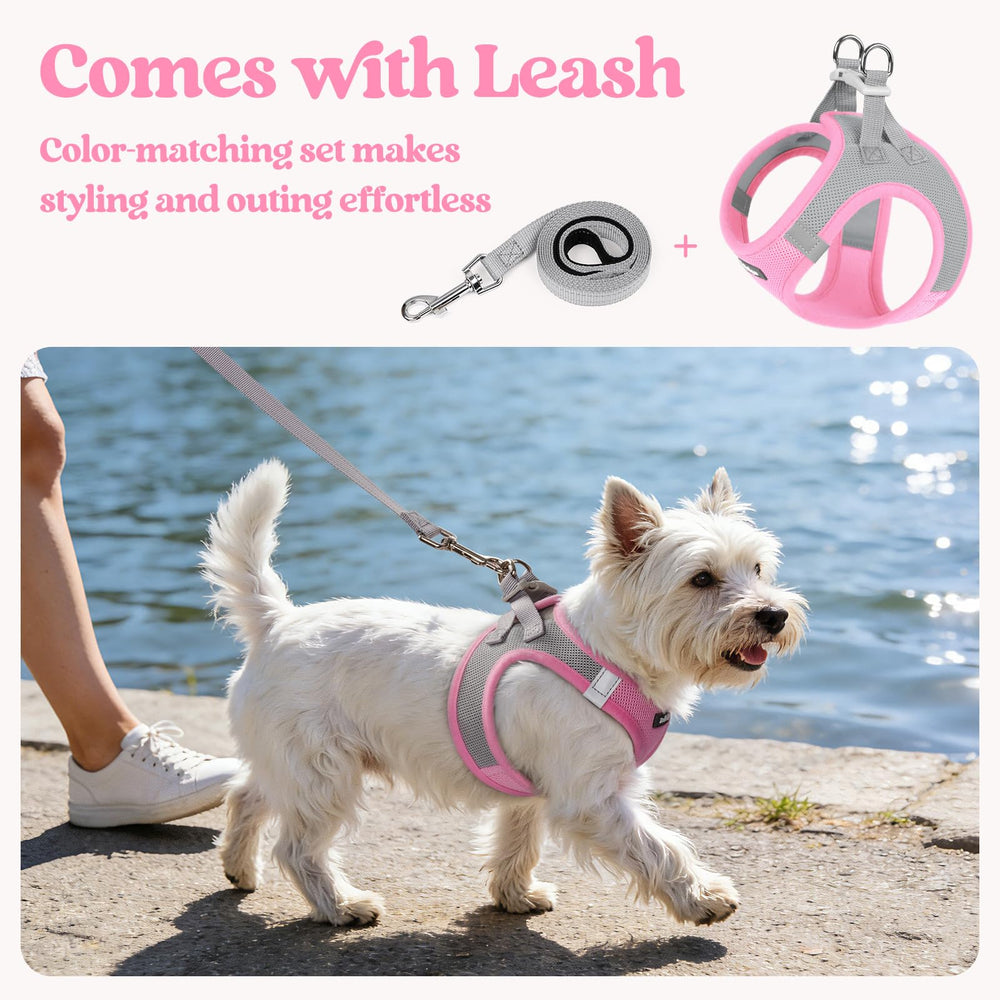 Rabbitgoo adjustable strap with Velcro enables a precise fit.