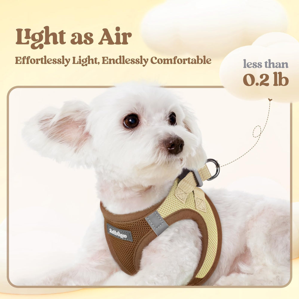 Rabbitgoo adjustable strap harness for a secure, snug fit.