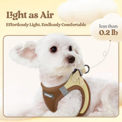 Rabbitgoo adjustable strap harness for a secure, snug fit.
