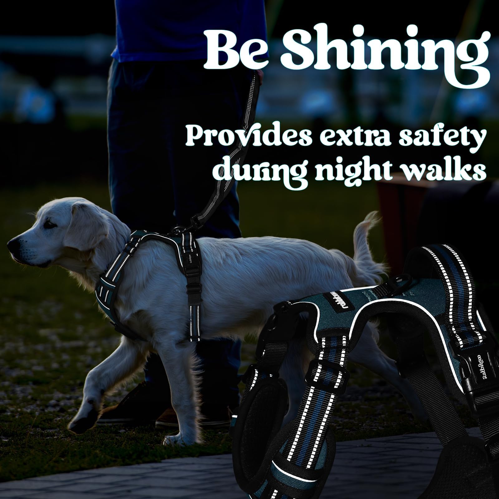 Rabbitgoo adjustable straps for a snug, comfortable fit on medium dogs