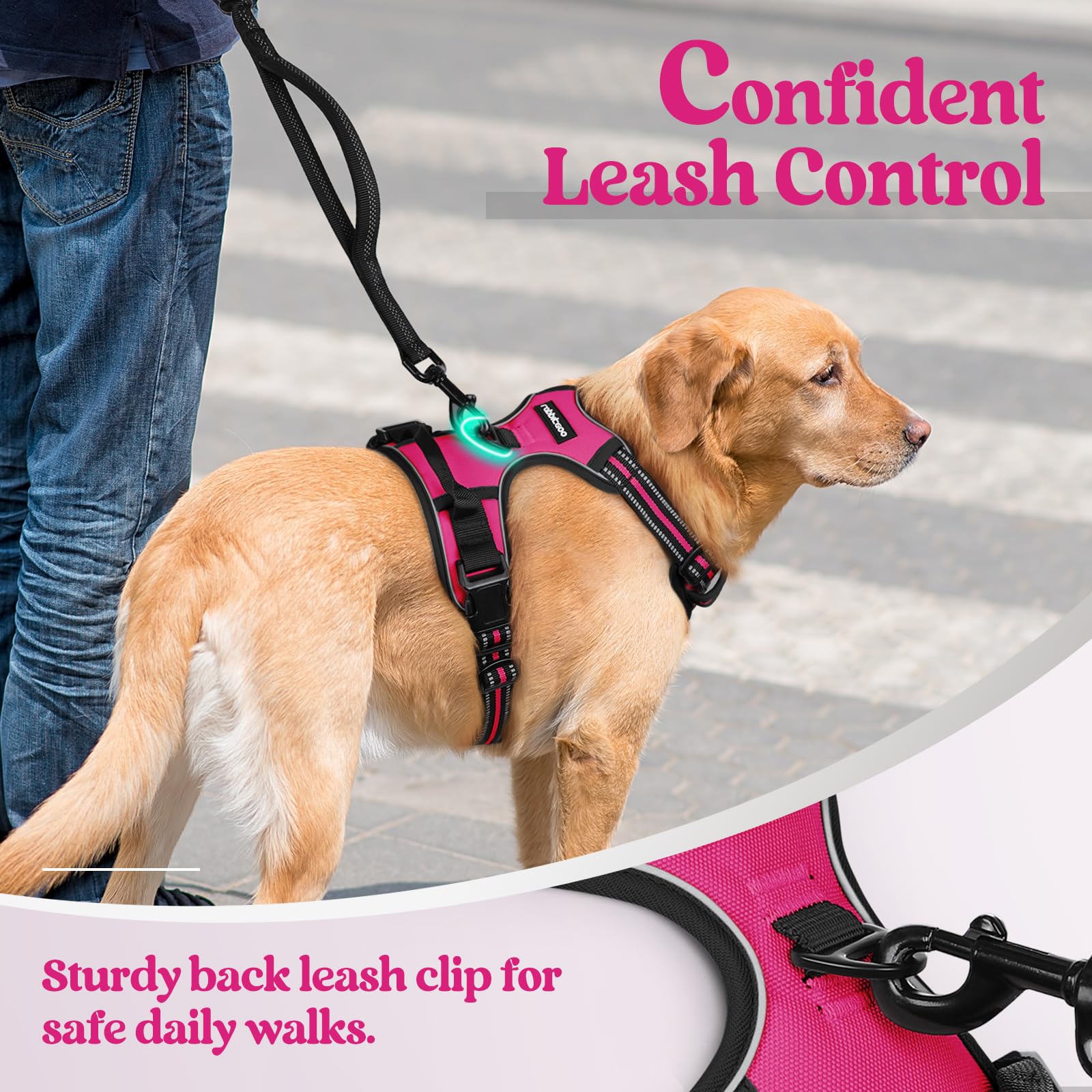 rabbitgoo adjustable straps ensure a snug fit as dogs grow
