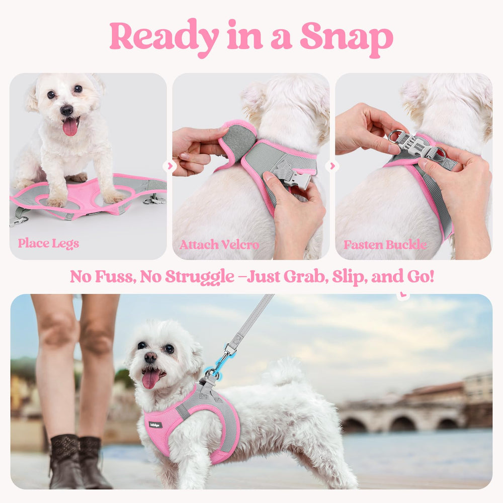 Rabbitgoo adjustable hook and loop strap simplifies sizing