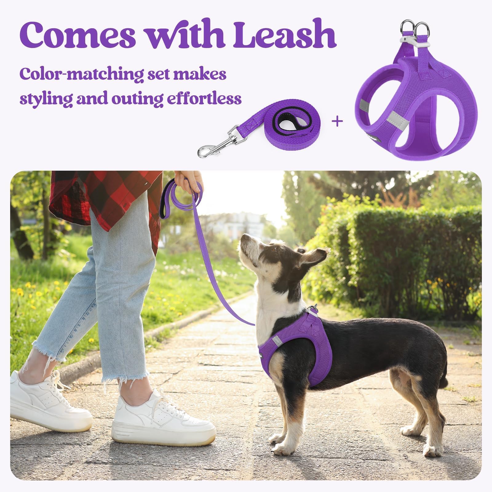 Rabbitgoo adjustable Velcro strap for a snug, customizable fit