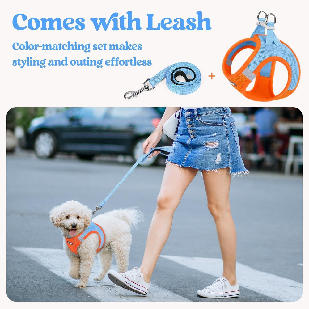 rabbitgoo adjustable Velcro closure creates a customizable, snug fit.