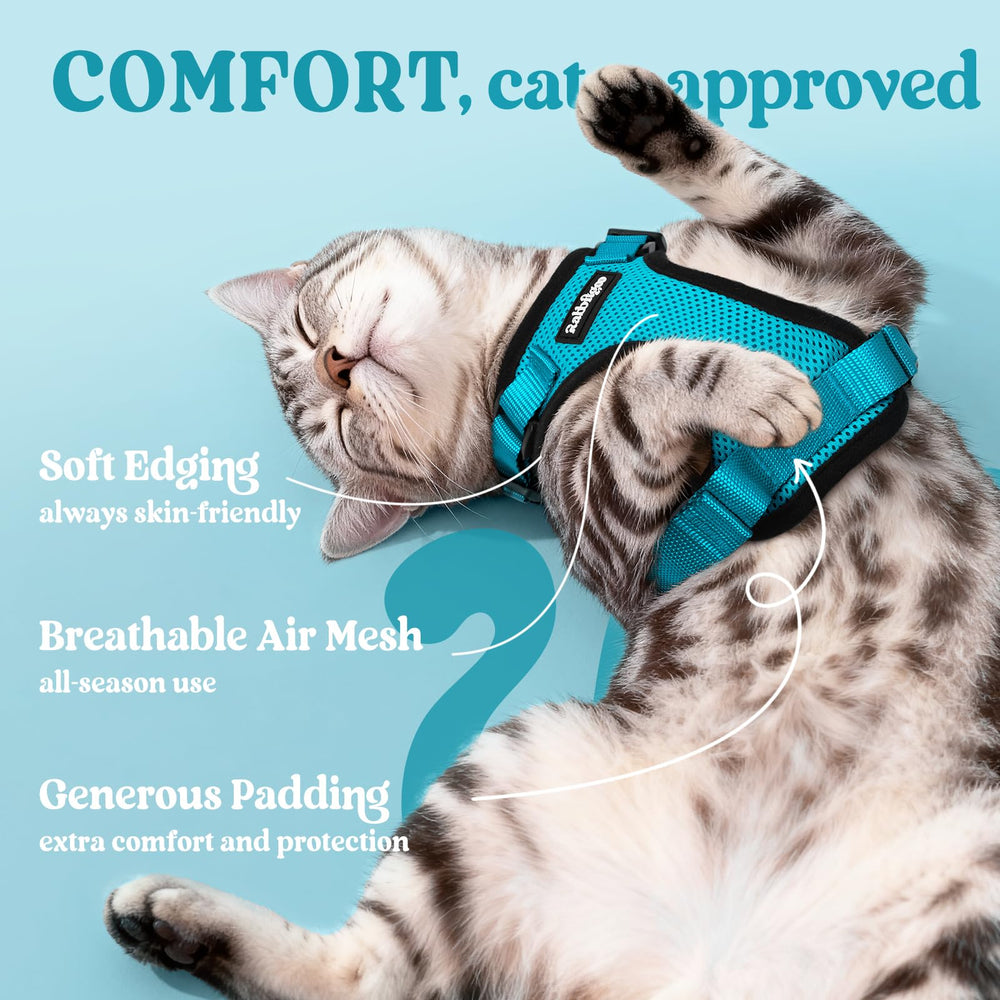 Rabbitgoo air-mesh breathable harness keeps cats cool on sunny outings.