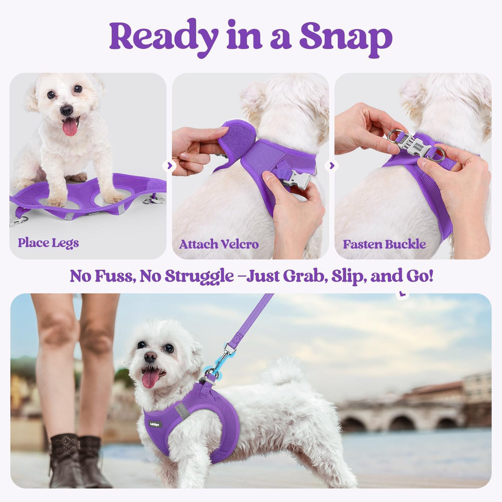 Rabbitgoo breathable mesh keeps pets cool on outdoor adventures.
