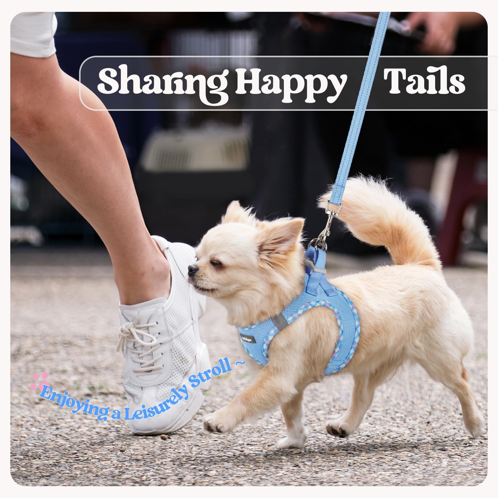 Rabbitgoo anti-tangle leash with palm-friendly handle for smooth walks