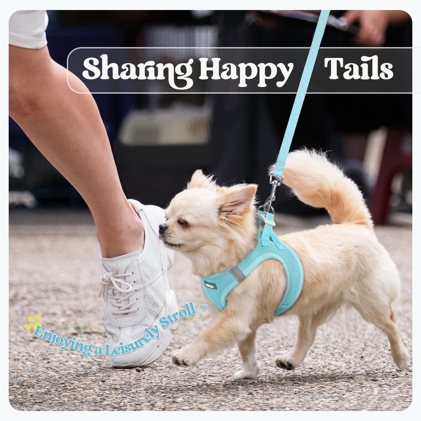 Rabbitgoo anti-tangling clip keeps leash movements smooth