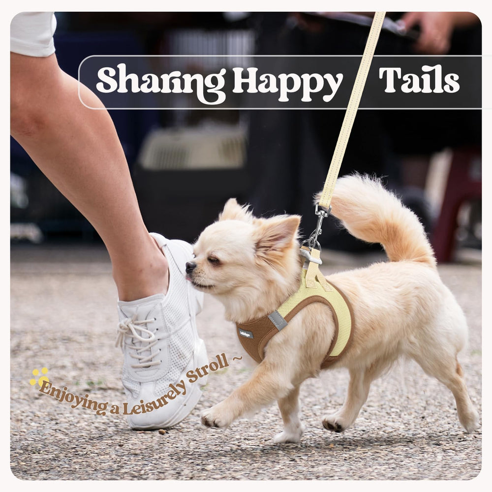 Rabbitgoo anti-tangling leash with palm-friendly handle for better control.