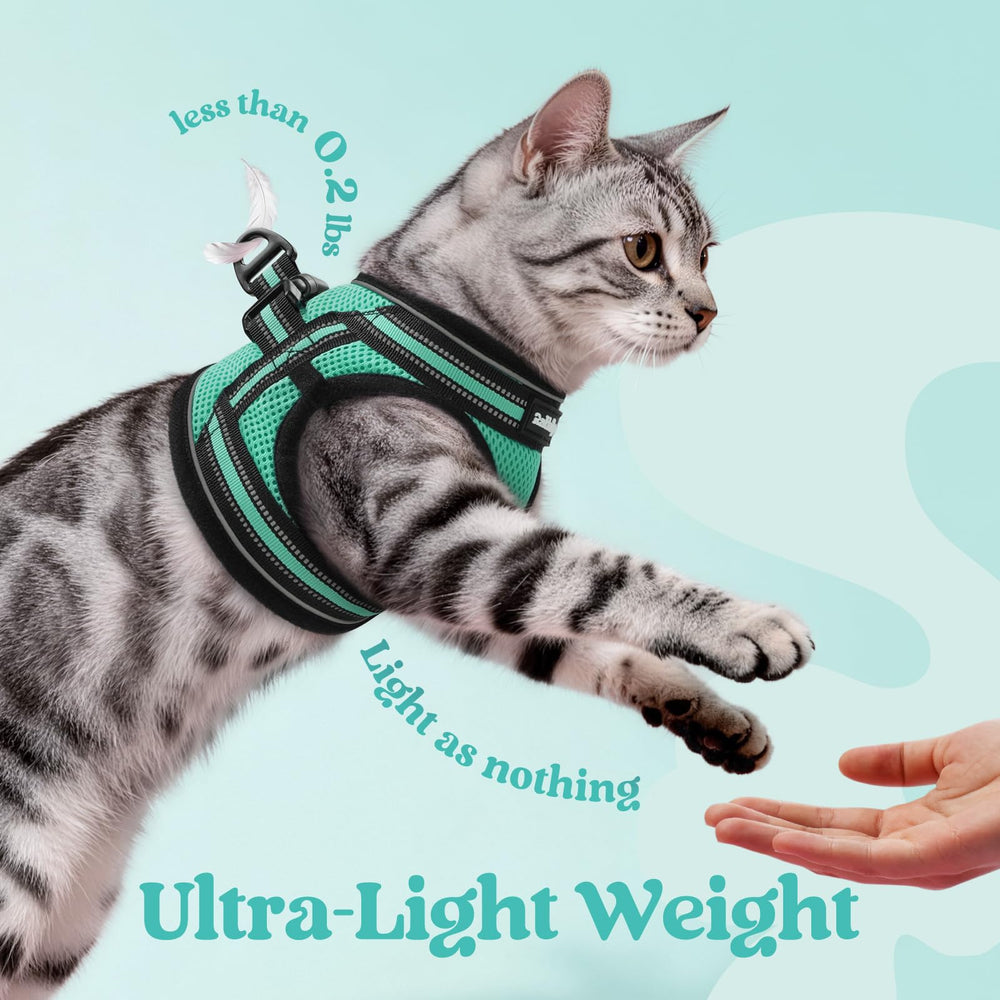 Back-clip buckle and Velcro fastener prevent escapes on Rabbitgoo harness.