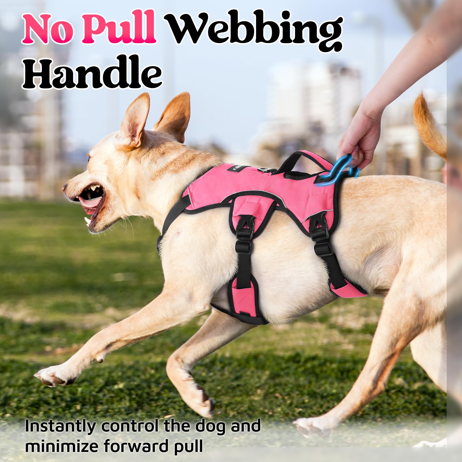Rabbitgoo back D-ring and reflective strips ensure visibility and controlled walks at night