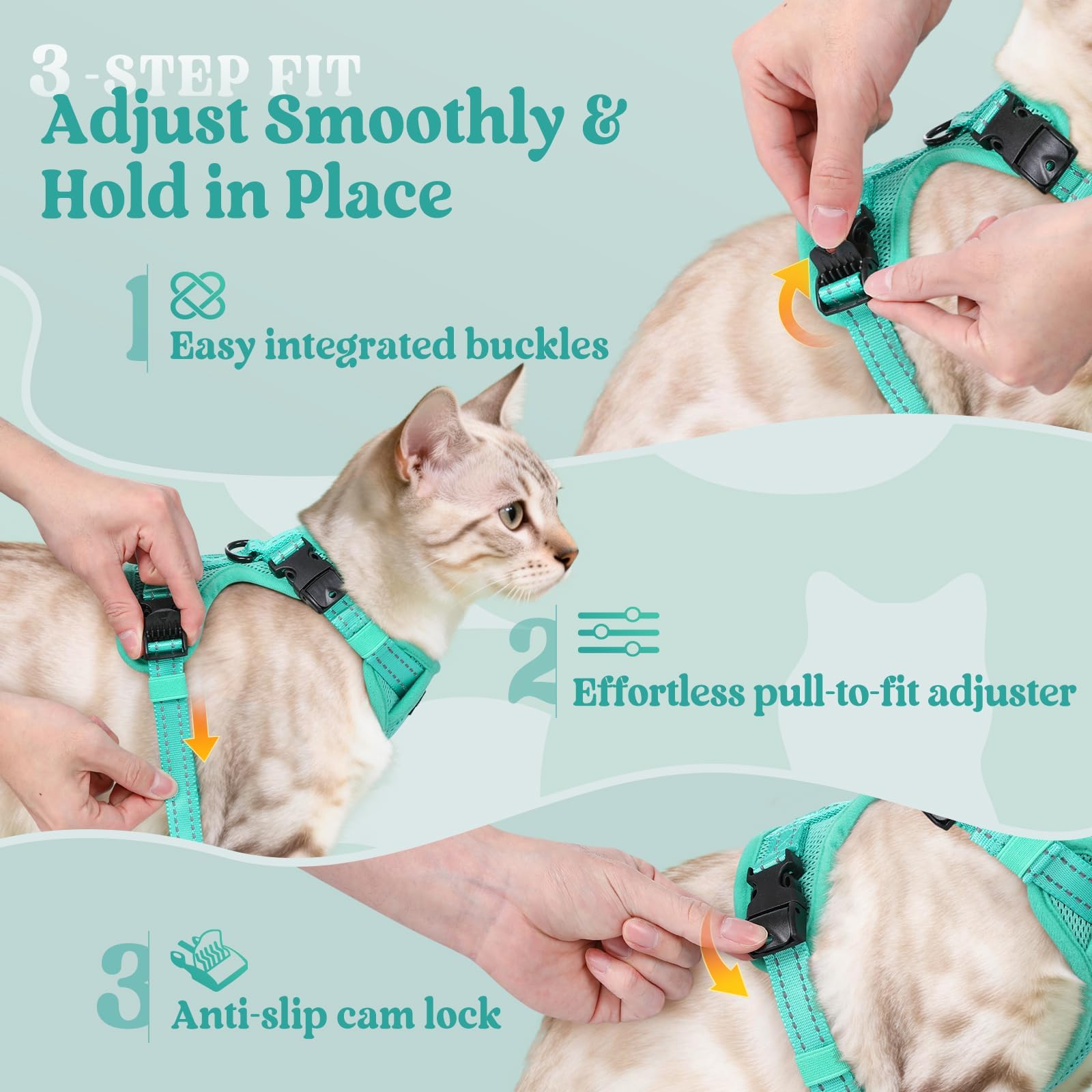 Rabbitgoo back D‑ring ready for leash connection during outdoor time.