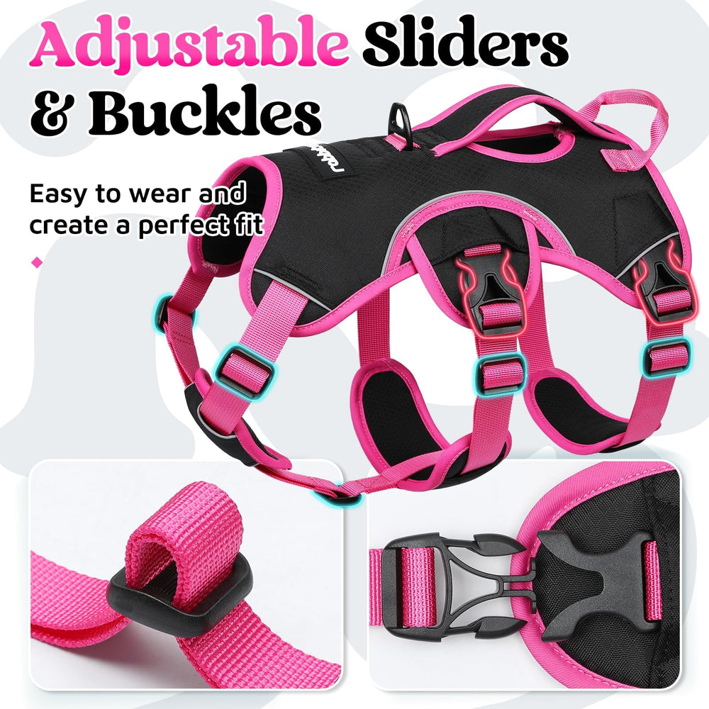 Rabbitgoo back D-ring enables relaxed leash control.