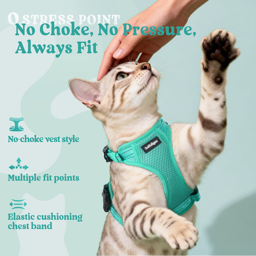 Rabbitgoo back D-ring pairs securely with the leash.