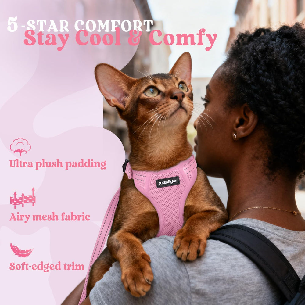 Rabbitgoo back D-ring leash attachment for reliable control