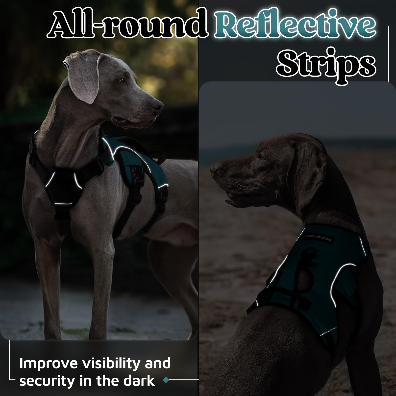 Rabbitgoo back D-ring leash attachment for controlled walks.