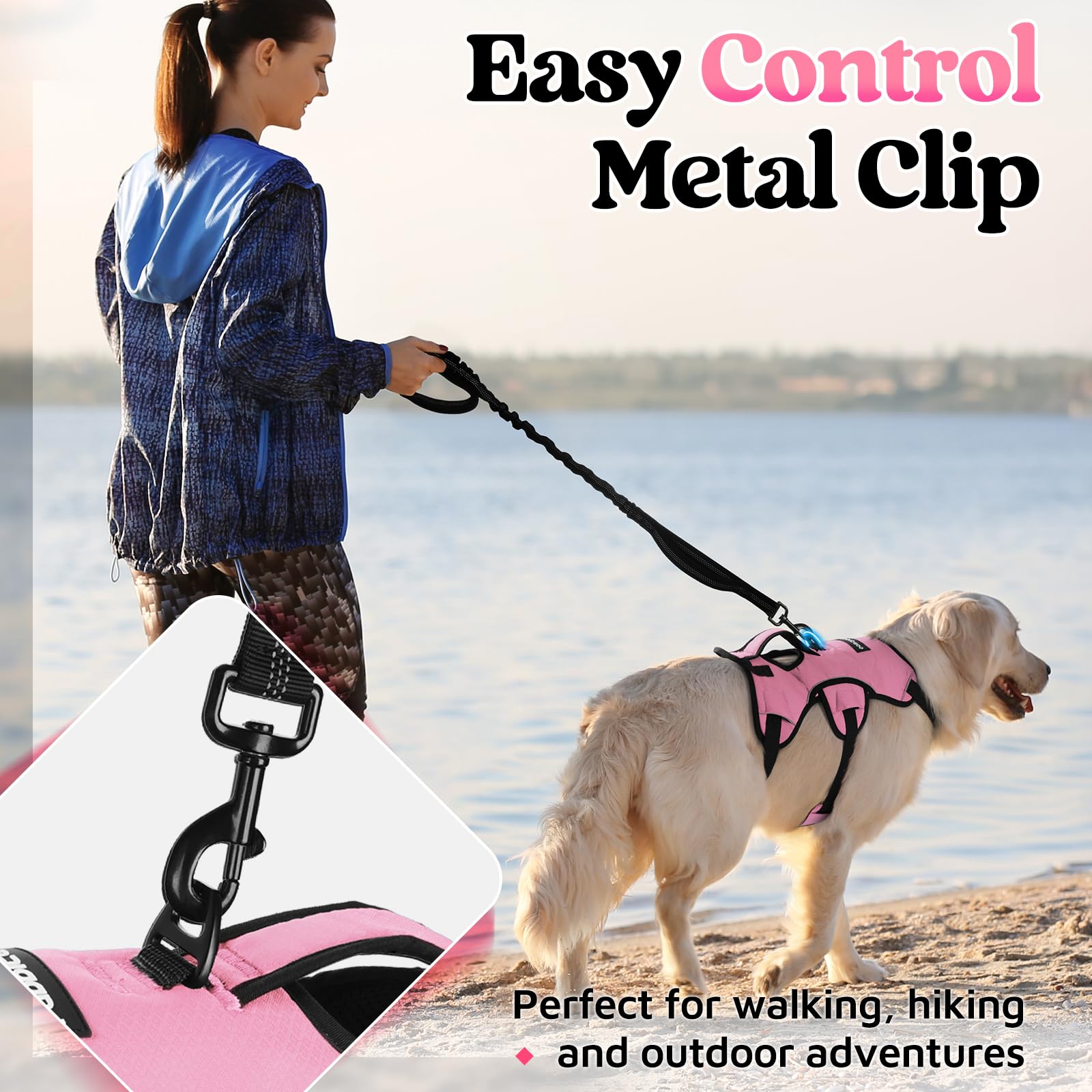 Rabbitgoo back D-ring supports comfortable, controlled walks