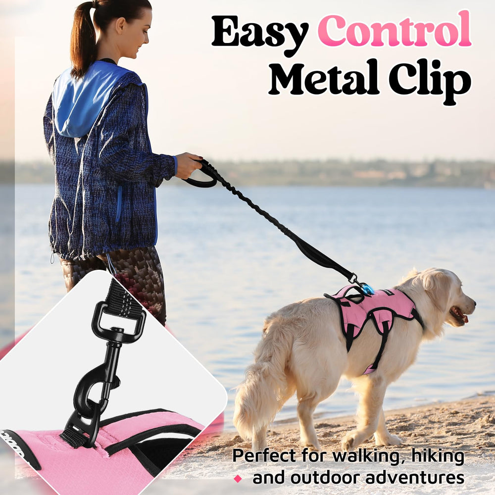 Rabbitgoo back D-ring supports comfortable, controlled walks