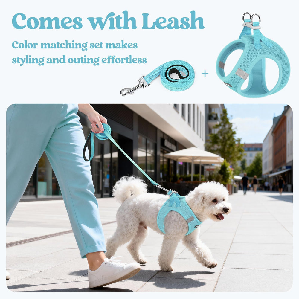 Rabbitgoo back D-rings provide secure attachment and balanced pulling