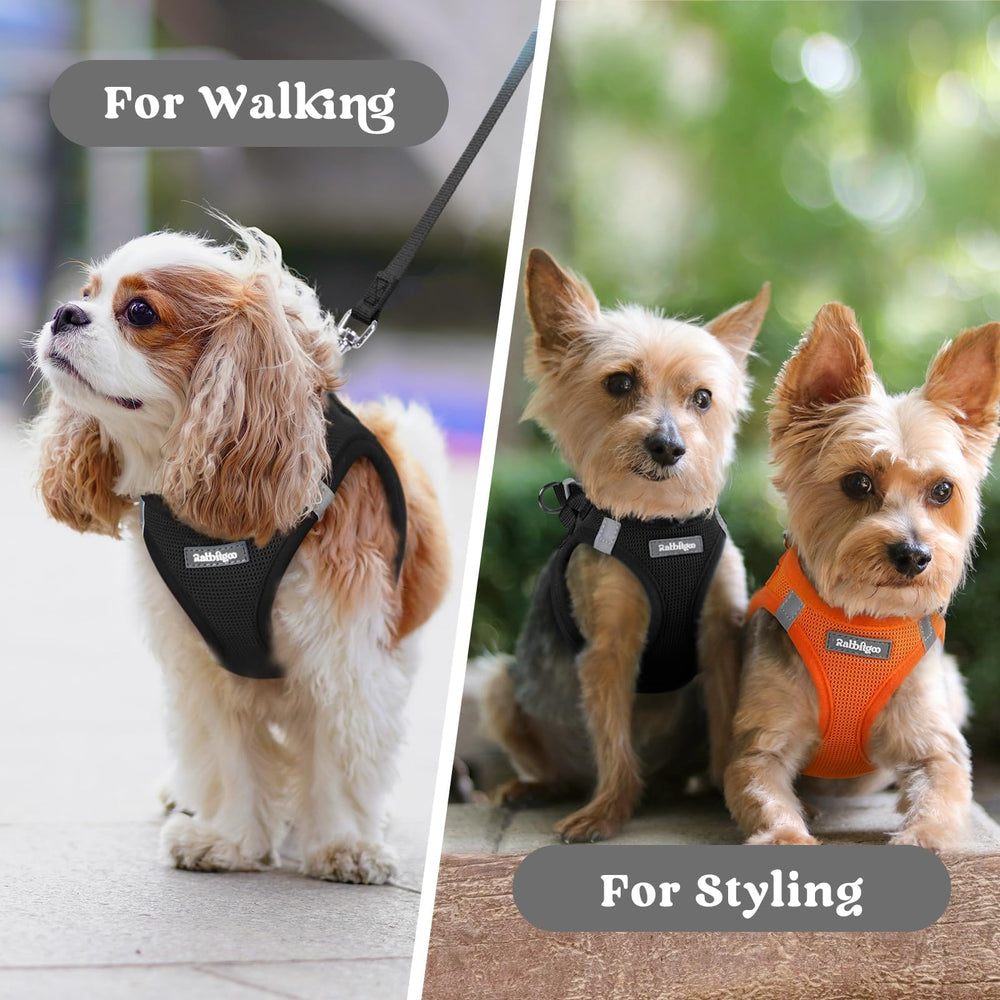 Rabbitgoo black XS harness profile for small dogs during daily outings