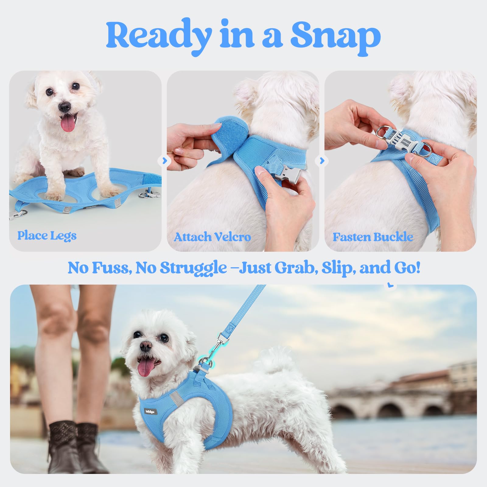 Blue S size suits small dogs for everyday city strolls.